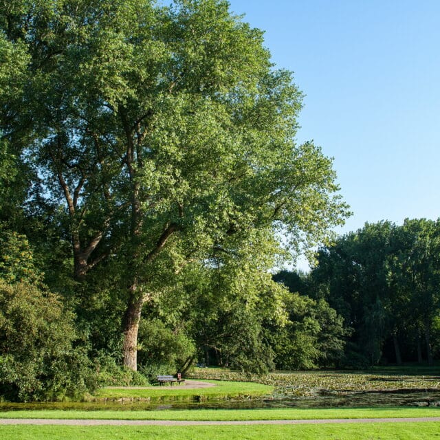 Wantijpark park natuur Dordrecht