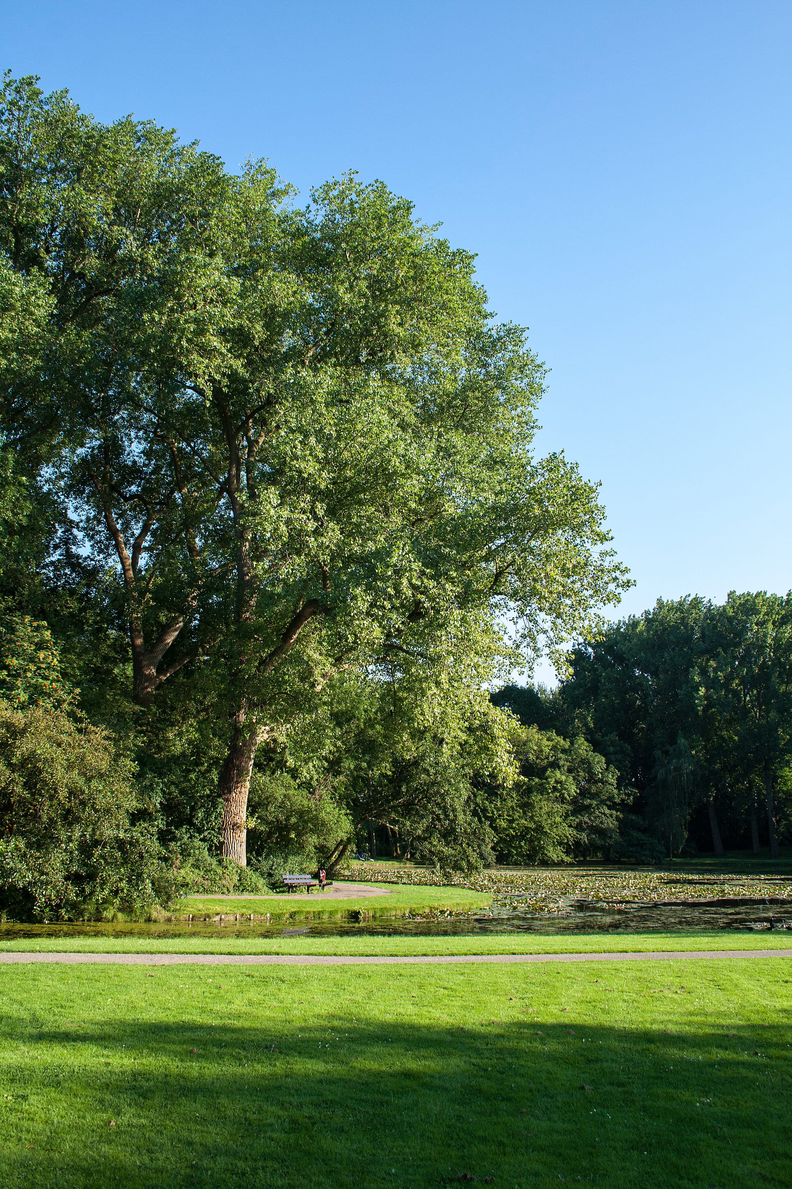 Wantijpark park natuur Dordrecht