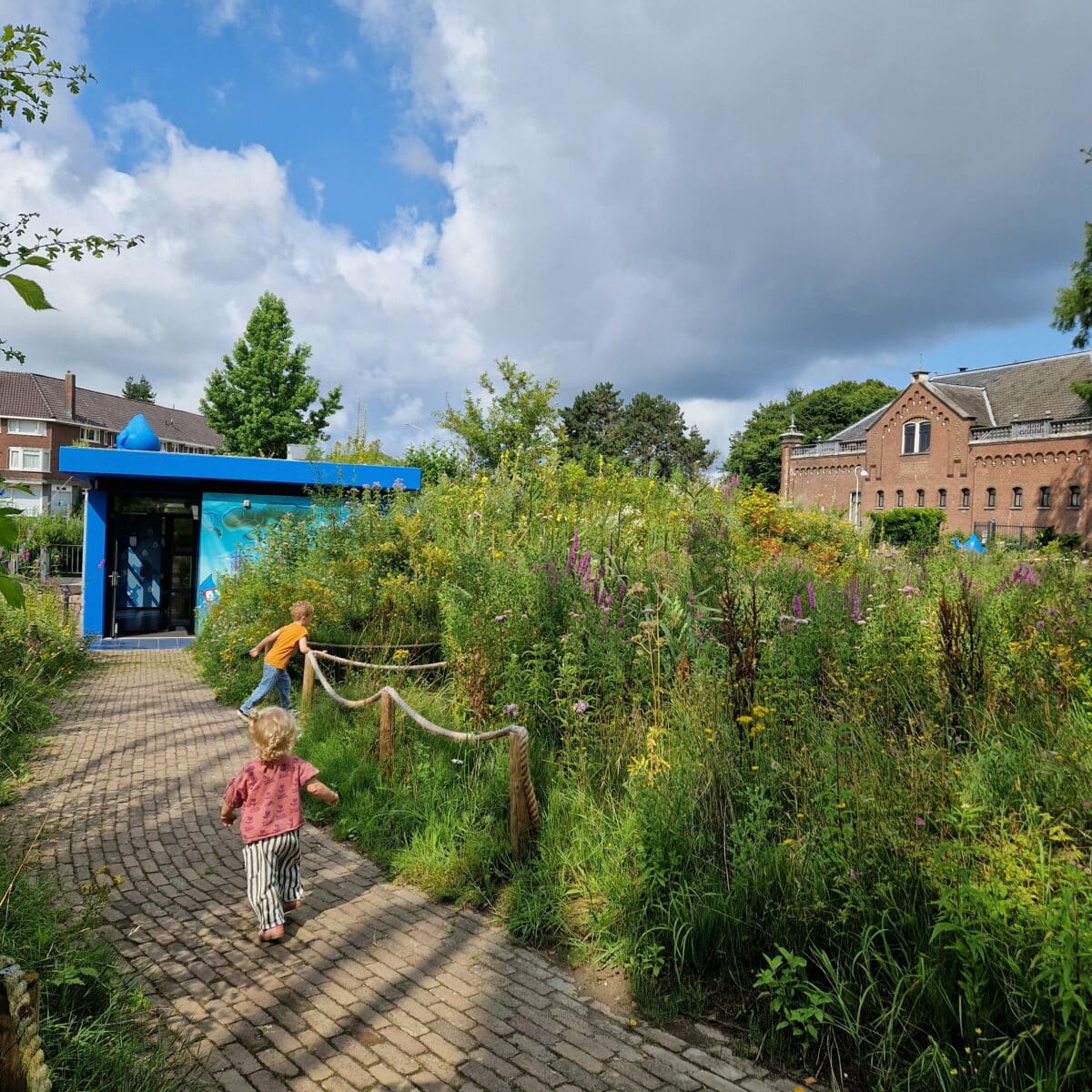 Weizigt Aquarama activiteiten kinderen kids spelen Dordrecht (1)