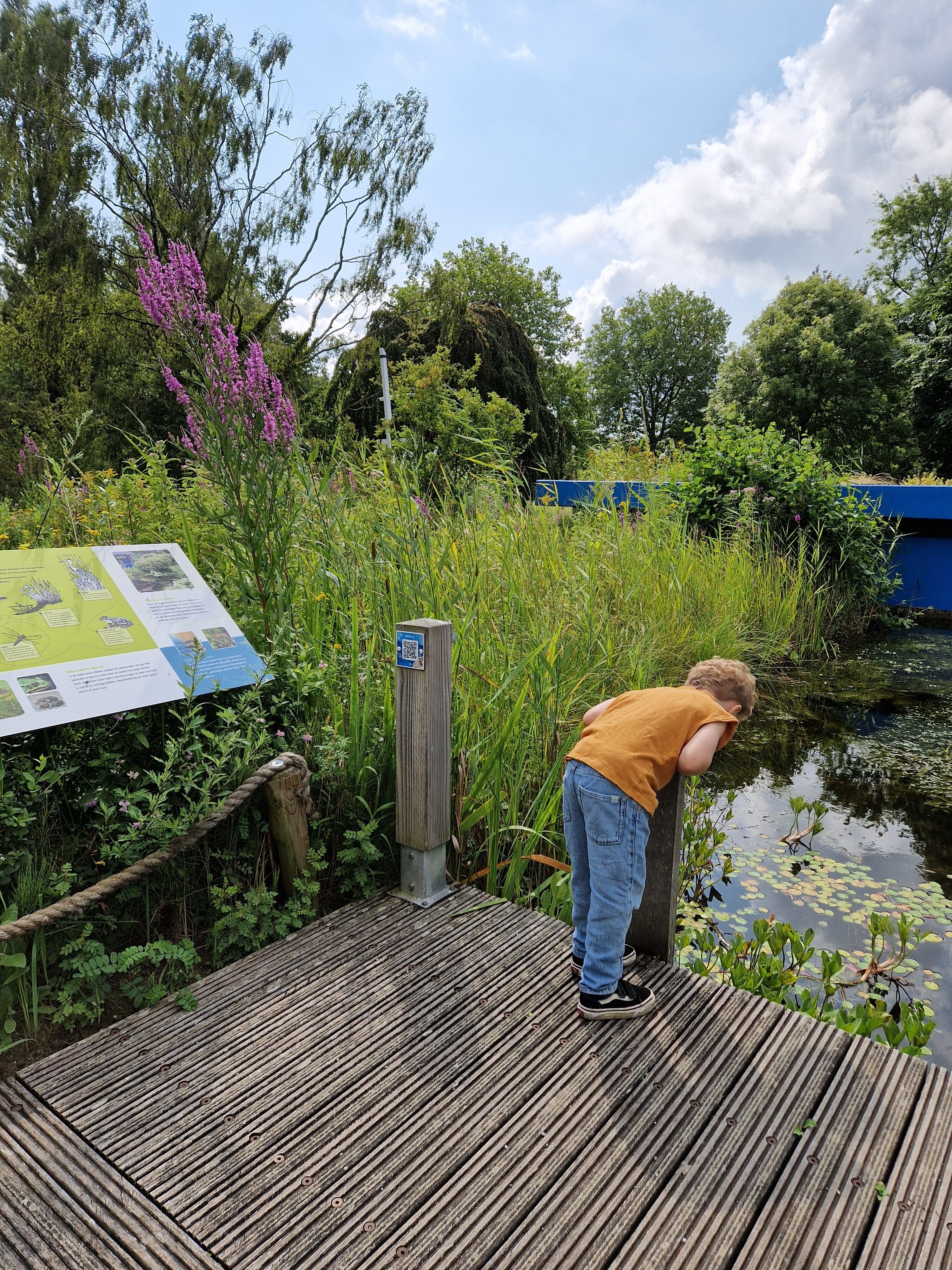 Weizigt Aquarama activiteiten kinderen kids spelen Dordrecht (2)