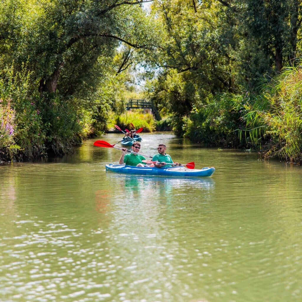 DRIJF-kano-kajak-groepen-natuur-water-lente-zomer-Biesbosch