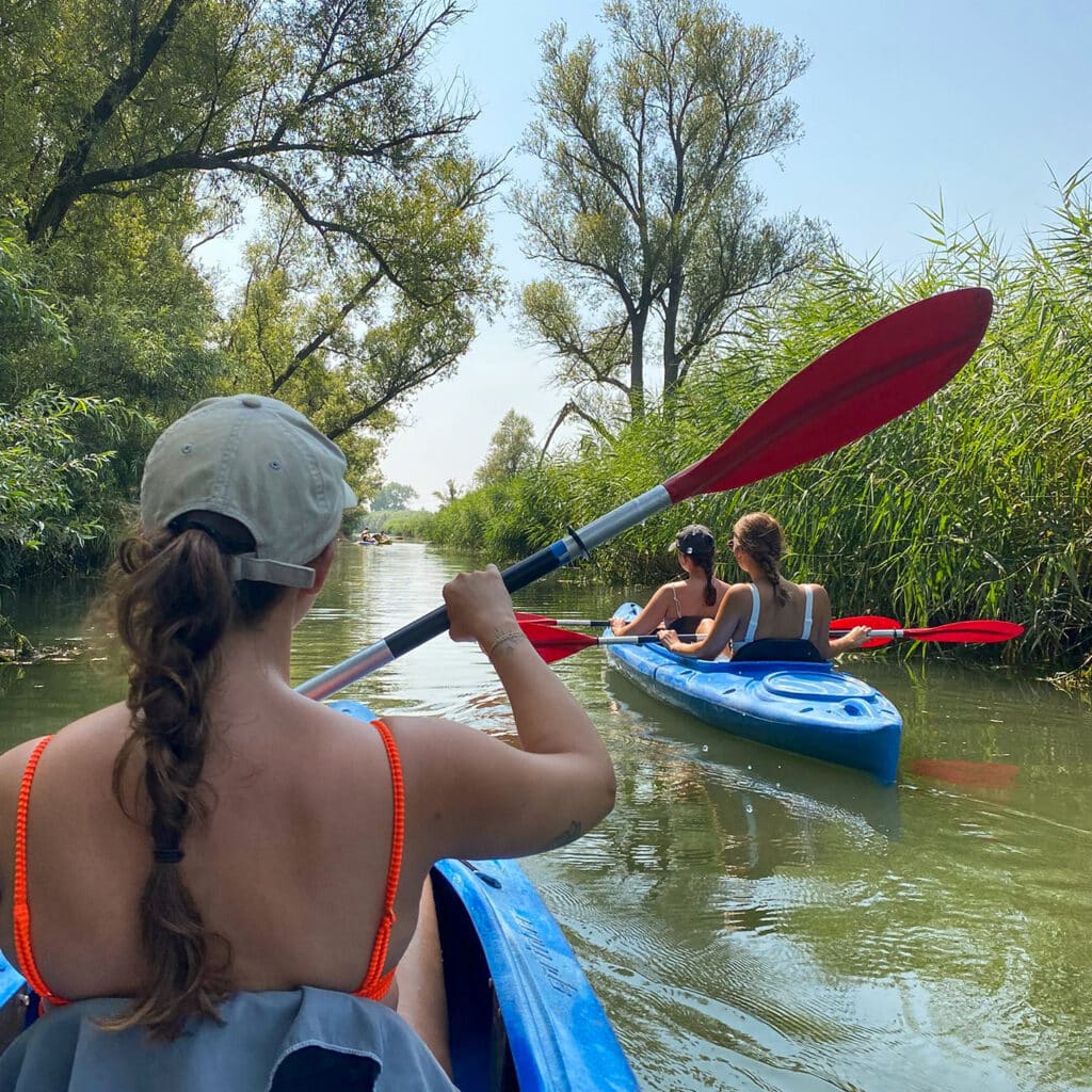 Kano kajak water natuur zomer Biesbosch Dordrecht