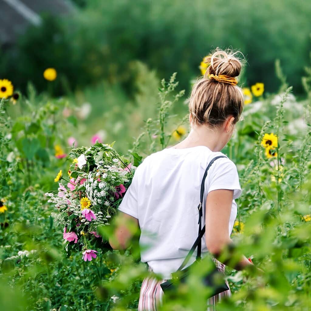 Pluktuin natuur activiteiten bloemen zomer Dordrecht