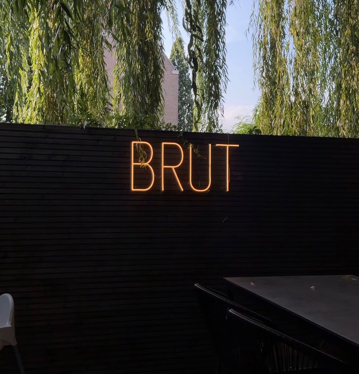 Brut in the Garden (thumbnail: Romy)