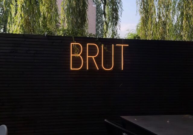 brut in de tuin tumbnail romy