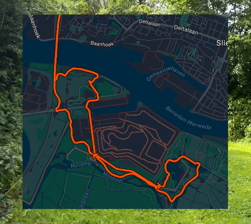 tumbnail video romy hardlopen biesbosch