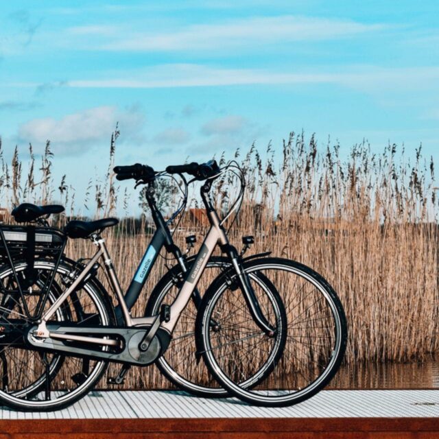 Fietsen Biesbosch Dordrecht