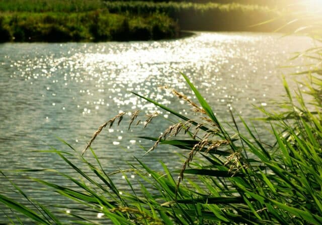 Biesbosch fluistervaartocht