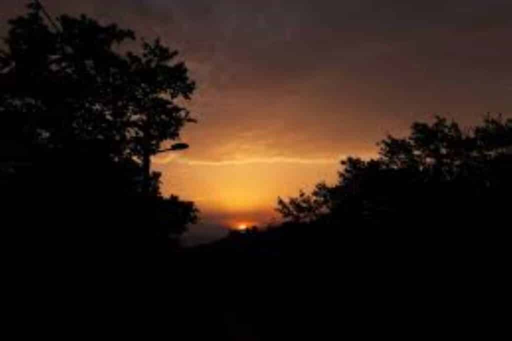 Afbeelding Schemerexcursie