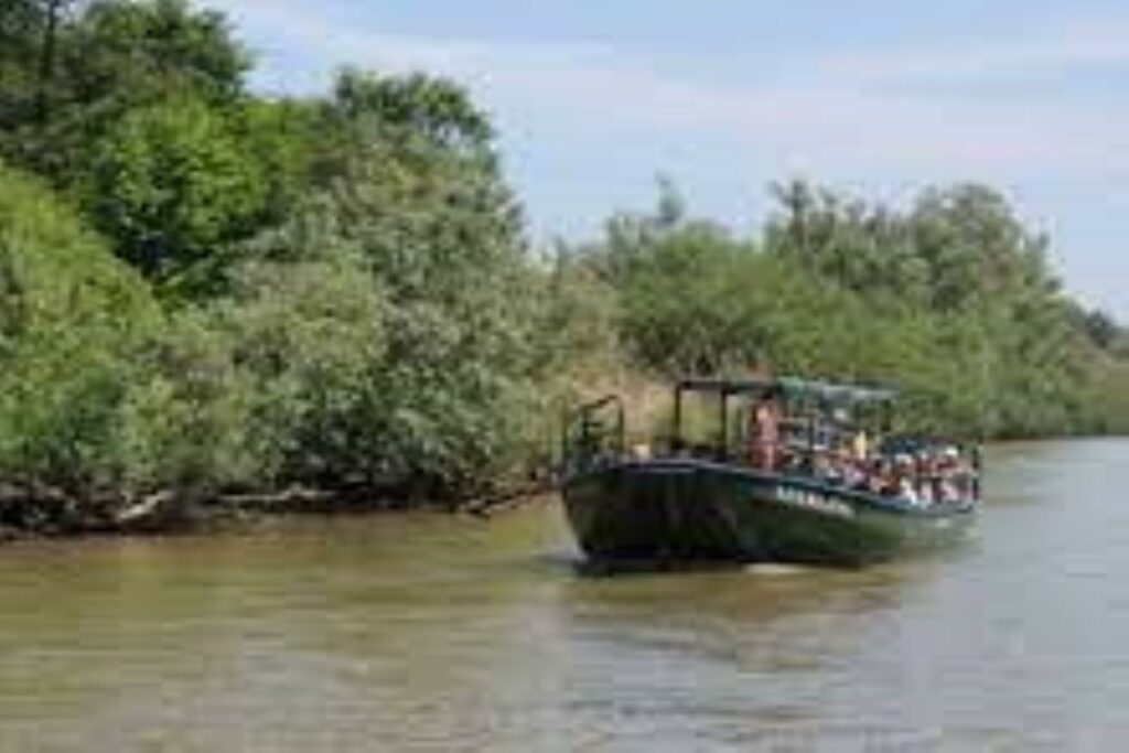 Afbeelding Rondje varen in de Biesbosch?