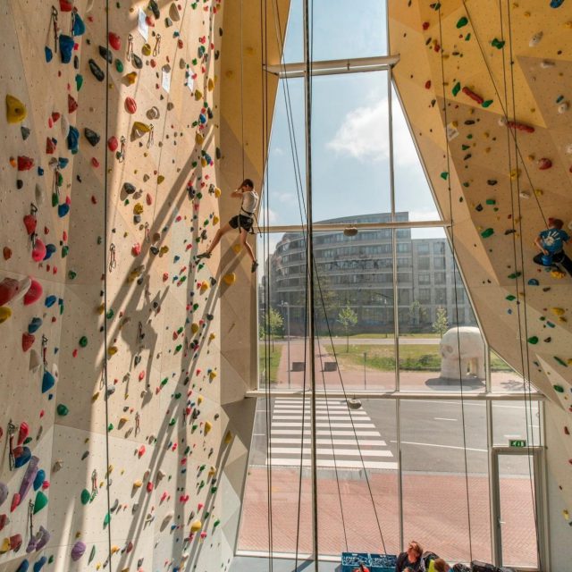 mountain-network-dordrecht